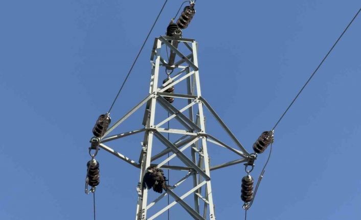 Karabük’teki orman yangınında ‘karga’ şüphesi