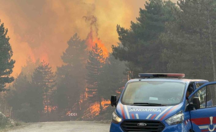 Karabük’teki yeni yangın rüzgarın etkisiyle hızla ilerliyor