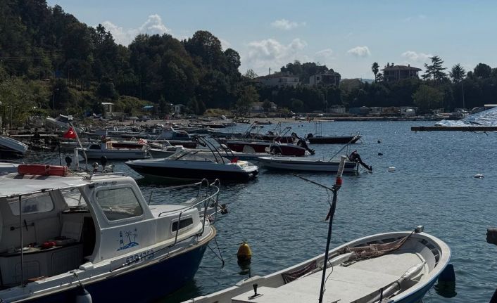 Karadeniz’de bu yıl hamsi beklentisi büyük