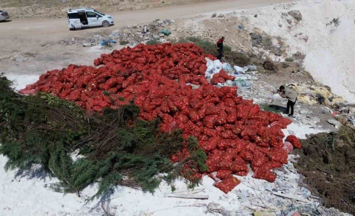Karaman’da tonlarca soğan, boş araziye atılmış halde bulundu