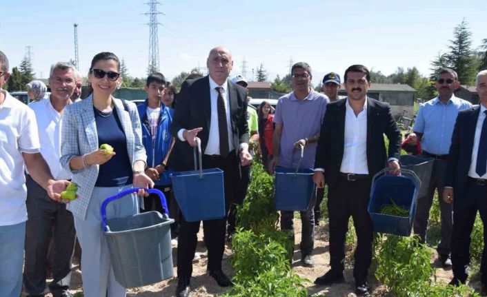 Karapınar’da "Doğayla El Ele Öğreniyorum, Üretiyorum, Paylaşıyorum" projesi meyvelerini veriyor