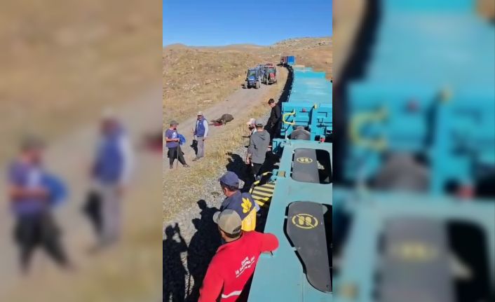 Kars’ta yük treninin çarptığı 5 hayvan telef oldu