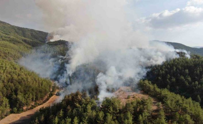 Kastamonu-Karabük sınırında ikinci orman yangını: Havadan ve karadan müdahale ediliyor
