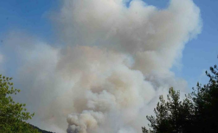 Kastamonu Valiliği’nden açıklama: Yangın sebebiyle tahliye edilen köy sayısı 6’ya çıktı