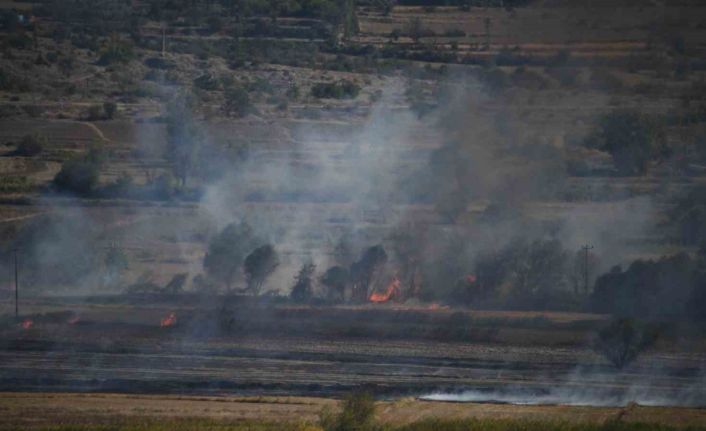 Kastamonu’da çeltik tarlasında çıkan yangın söndürüldü