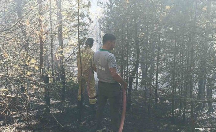 Kastamonu’da orman yangını: 10 dönümlük alan zarar gördü