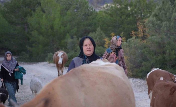 Kastamonu’da orman yangını kontrol altına alındı, vatandaşlar köylerine kavuştu