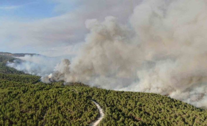 Kastamonu’daki orman yangını sürüyor: Kuvvetli rüzgar yangının enerjisini arttırdı