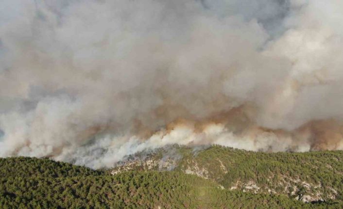 Kastamonu’daki orman yangınlarında 2 bin 736 hektar alan zarar gördü