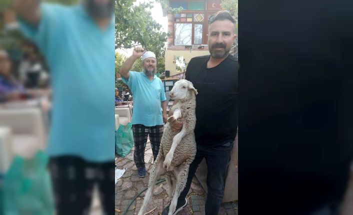 Kaybolan kuzuyu 2 gün misafir edip sahibine ulaştırdı