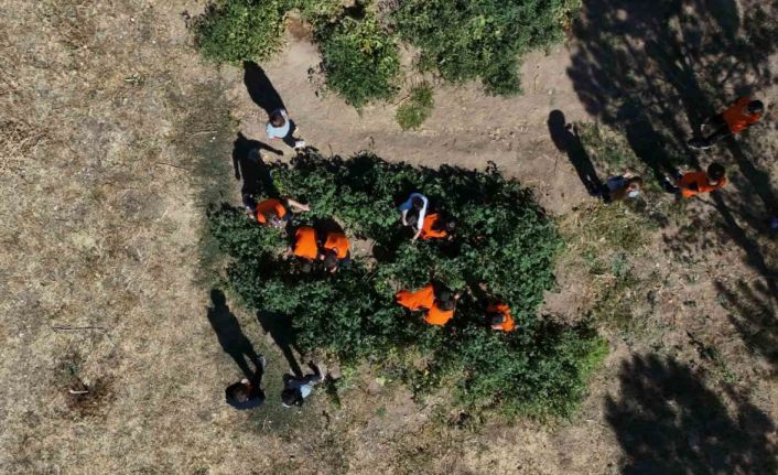 Kayseri’de ilkokul öğrencileri meyve bahçelerinde üretim yapıyor