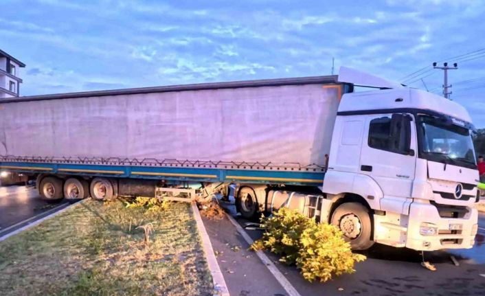 Kediyi kurtardı ama kazadan kaçamadı