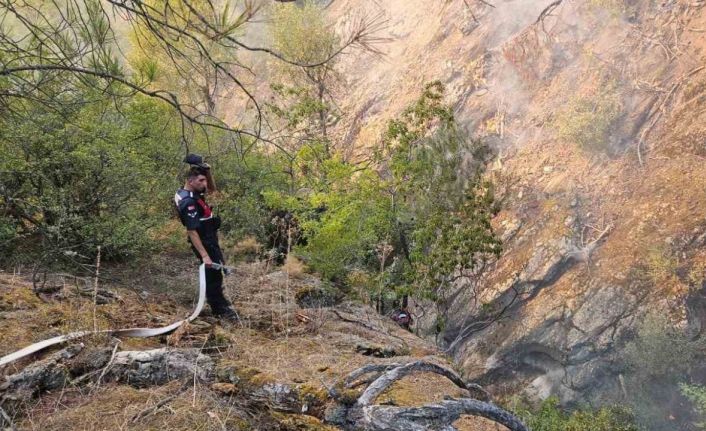 Kepsut’ta başlayan yangına müdahale sürüyor