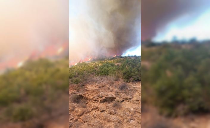 Kepsut’ta orman yangını başladı