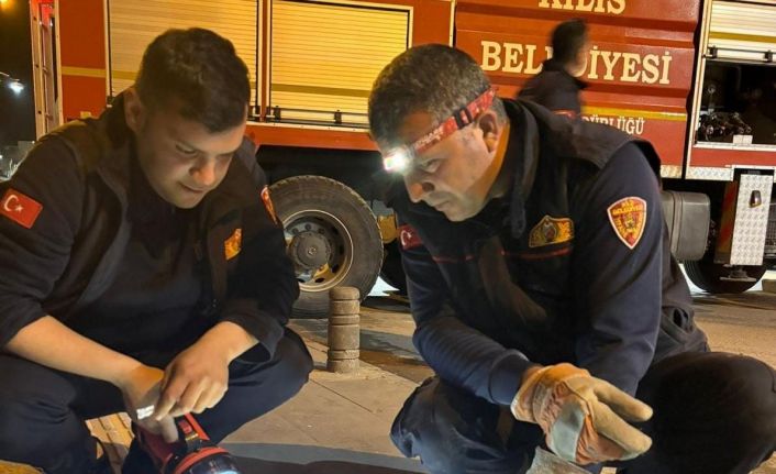 Kilis’te 3 gündür ağaçta mahsur kalan kedi kurtarıldı