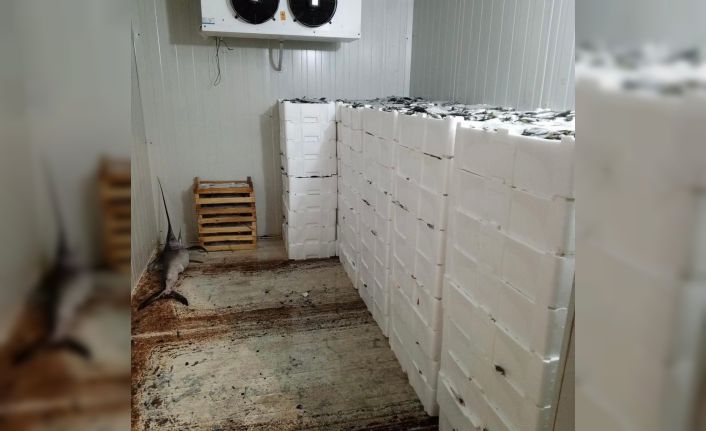 Kilolarca balığa el konuldu