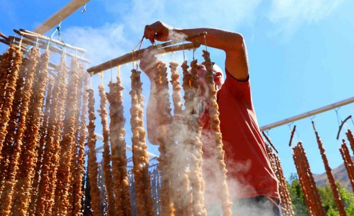 Kış sofralarının vazgeçilmezi: Orcik mesaisi başladı