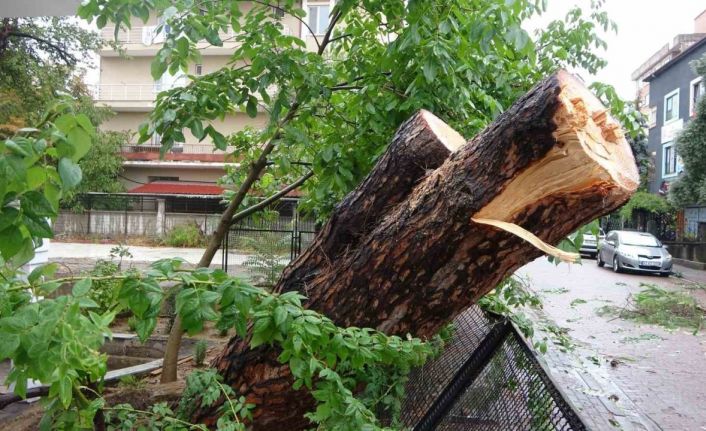 Kocaeli’de sağanak: Yıldırım evin çatısına düştü