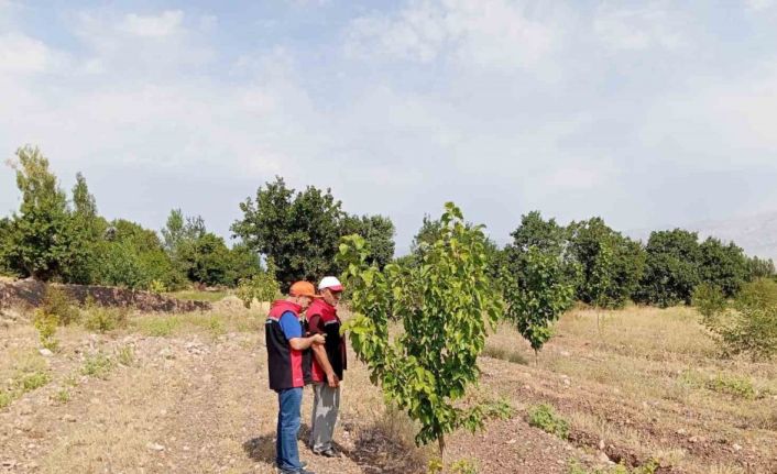 Konakbaşı köyündeki dut bahçesinde hastalık ve zararlı kontrolleri yapıldı
