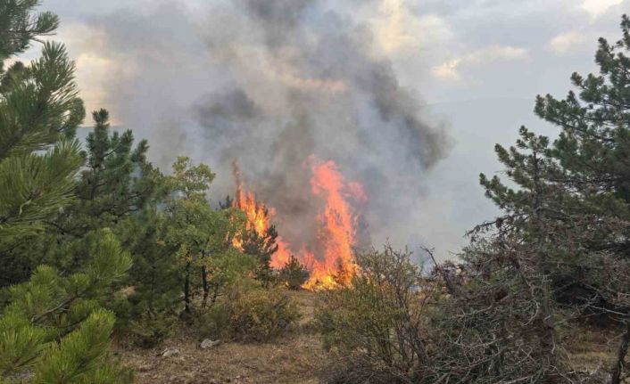 Konya’da ormanlık alanda çıkan yangın söndürüldü