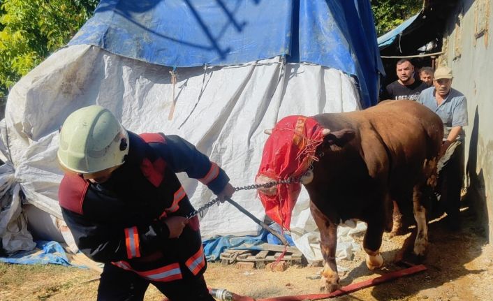 Malatya’da korkutan ahır yangını
