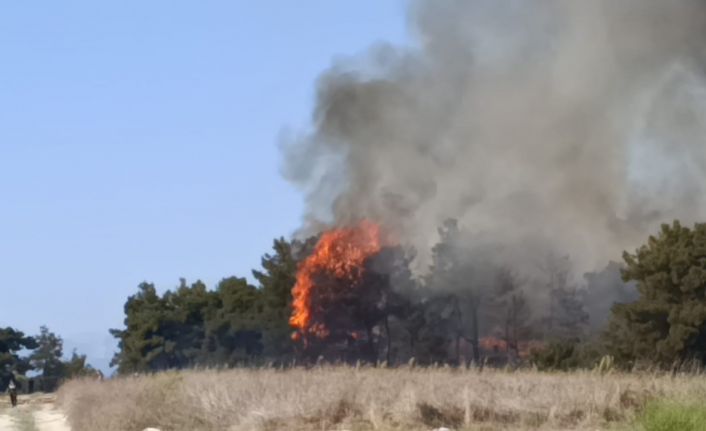Manavgat’ta arazide başlayan yangın ormanlık alana sıçradı