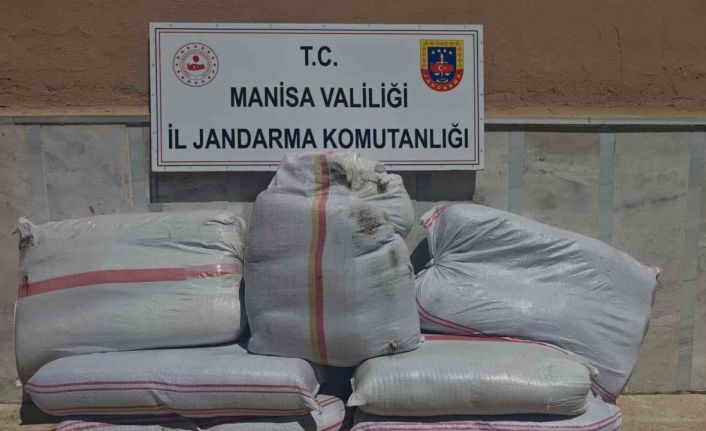 Manisa’da 350 kilo kaçak tütün ele geçirildi