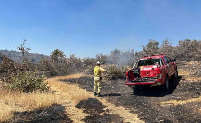 Mardin’de çıkan orman yangını söndürüldü