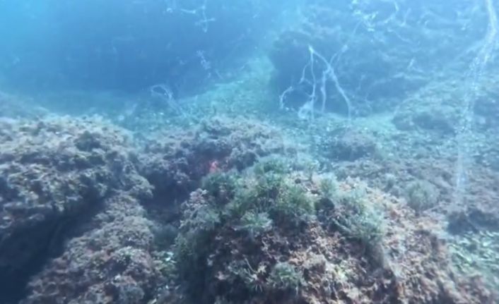 Marmara Denizi’nde yeni müsilaj alarmı