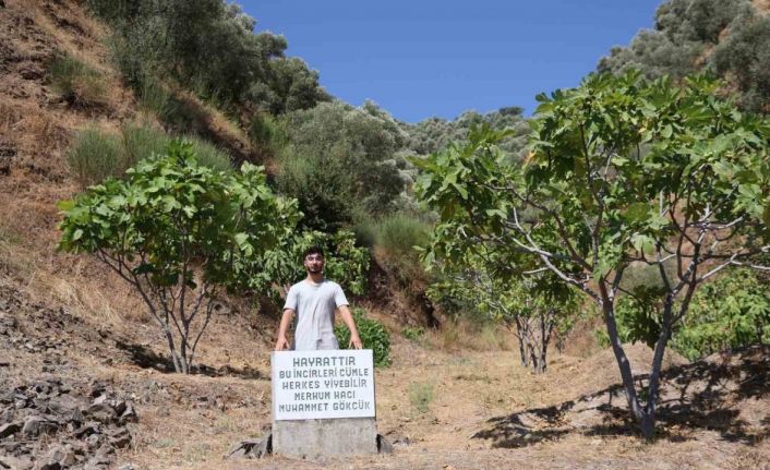 Mezar taşı değil, ‘herkes yesin’ uyarısı