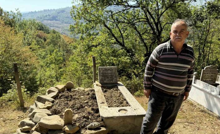 Mezarı kazıp tahtaları kıran ayı cenazeye ulaşamadan kaçtı