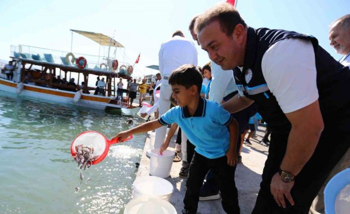 Milas Boğaziçi’ne 150 bin çipura ve 10 bin levrek yavrusu bırakıldı