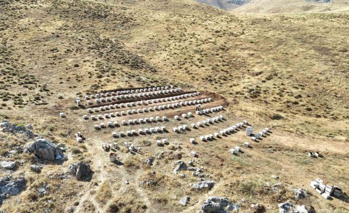 Nurhak’ın Tahtalı Yaylası’nda bal sağımı