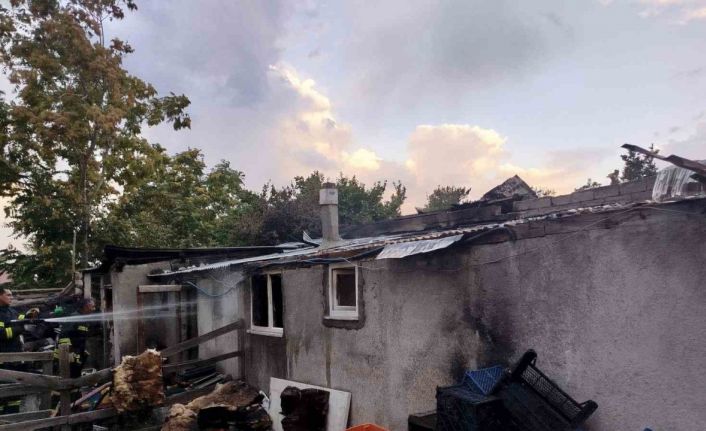 Odunlukta çıkan yangın itfaiyenin müdahalesiyle söndürüldü