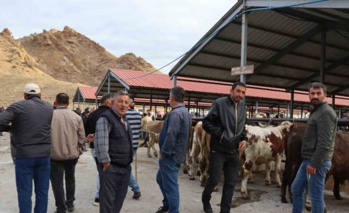 Oltu canlı hayvan pazarı şap hastalığı sonrası eski canlılığına kavuştu