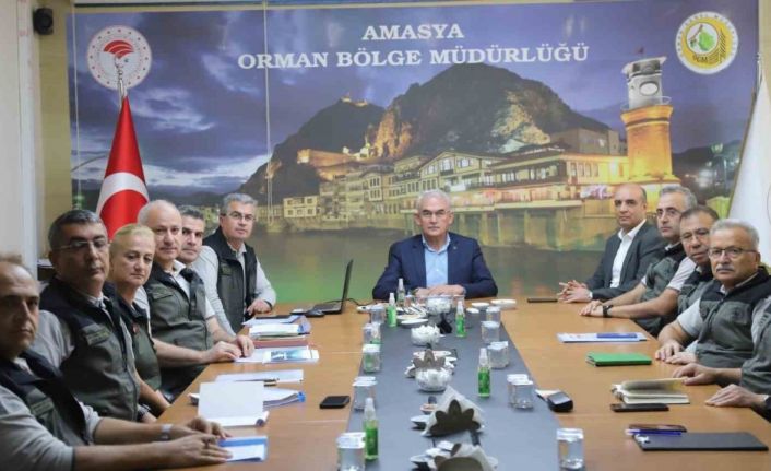 Orman Genel Müdürü Karacabey: "Ormanlar ülkemizin geleceği"