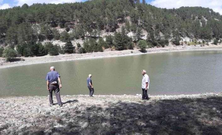 Orman yangınında kritik rol oynayan gölet, can çekişiyor