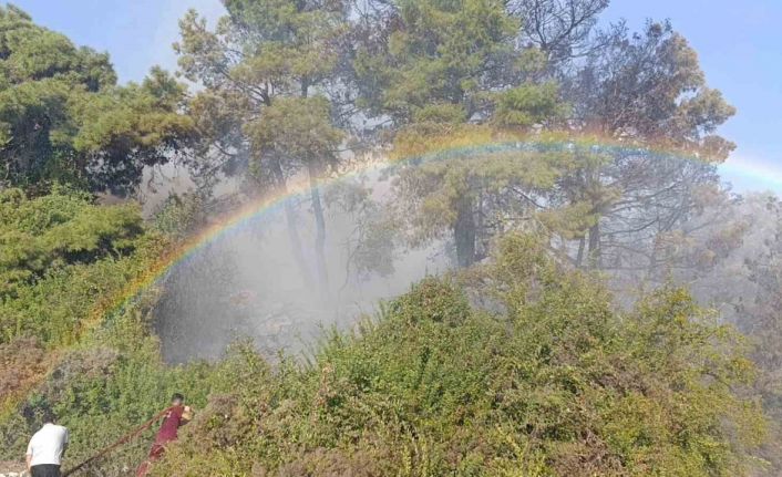 Orman yangınında uçaktan atılan su gökkuşağı oluşturdu