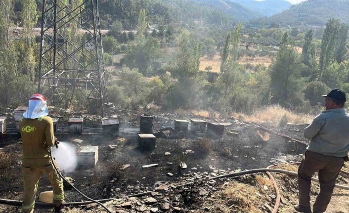 Ormancı Türküsü’nün yakıldığı Gevenes’te bu defa arı kovanları yandı