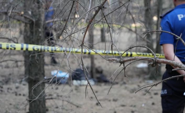 Ormanda bulunan ceset firari doktora ait çıktı