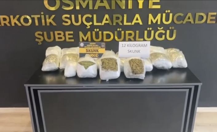 Osmaniye’de hafif ticari araçta 12 kilo skunk ele geçirildi