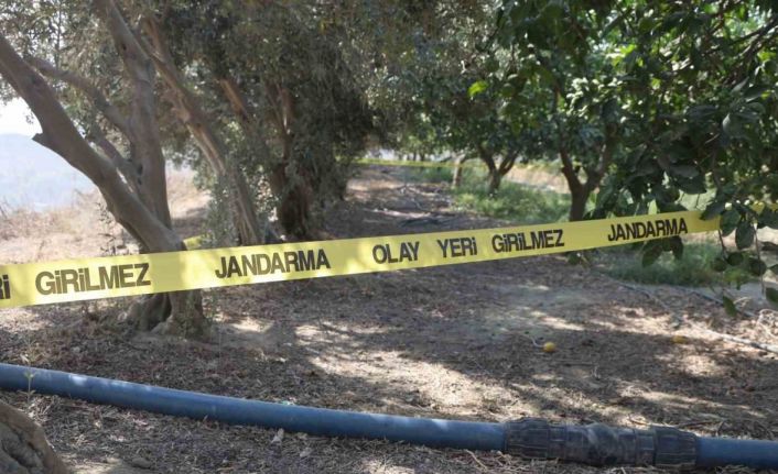 Para için arkadaşını narenciye bahçesinde satırla doğrayan şahıs yakalandı