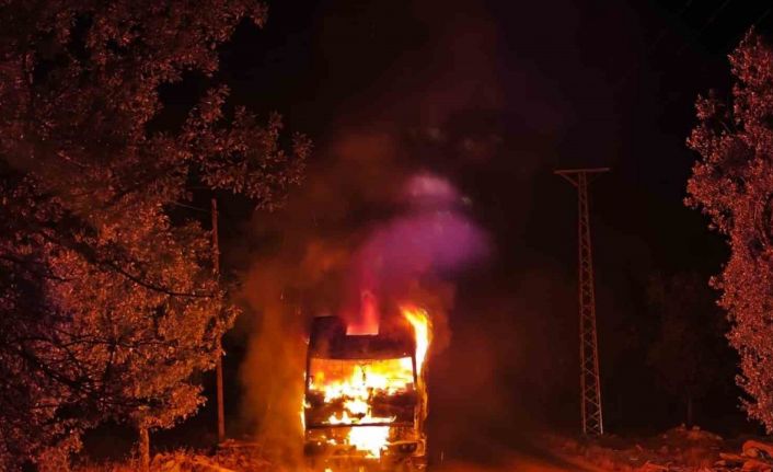 Park halindeki kamyon cayır cayır yandı