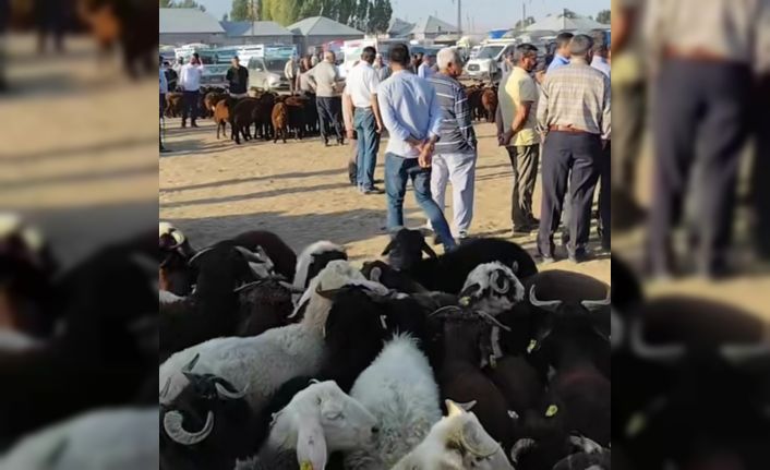 Patnos’ta hayvan pazarı yeniden açıldı