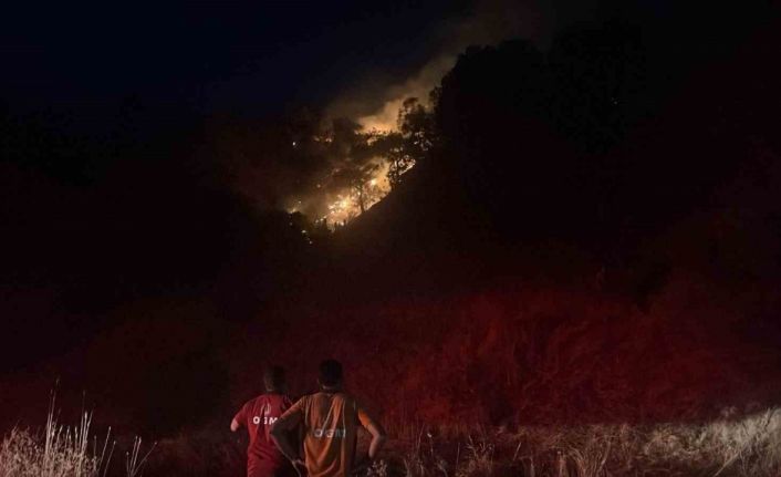 Pınardere yangını kontrol altına alındı