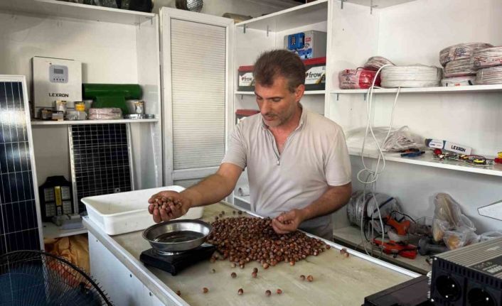 Rekolte düşüklüğü fındık fiyatlarını yükseltti