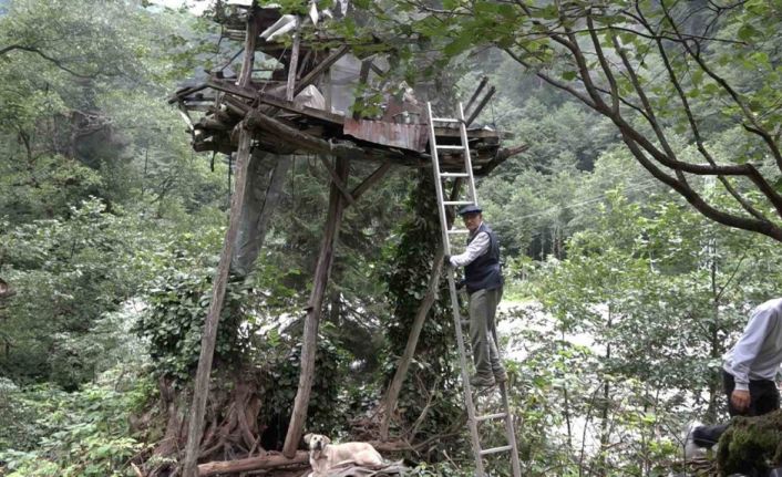 Rize’de karakovan balı Anzer Balı’nı solladı