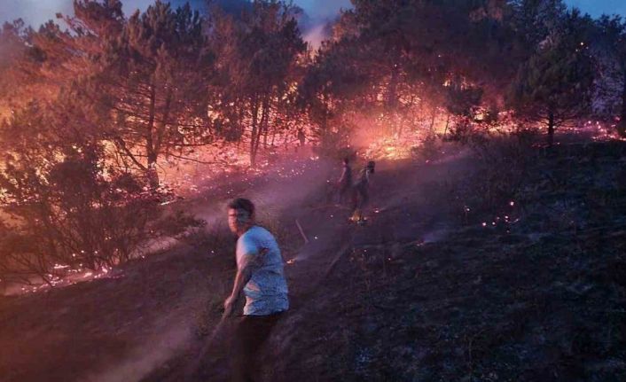 Sakarya’da makilik alanda çıkan yangın söndürüldü