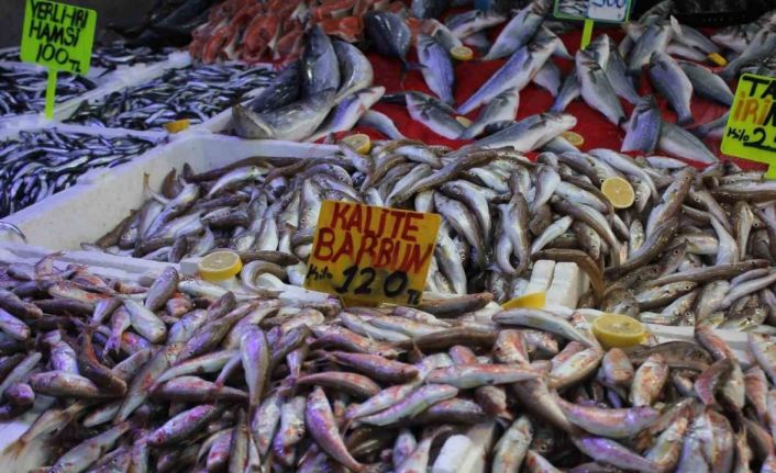 Samsun’da hamsi bolluğu fiyatları düşürdü: "Fakirin eti" oldu