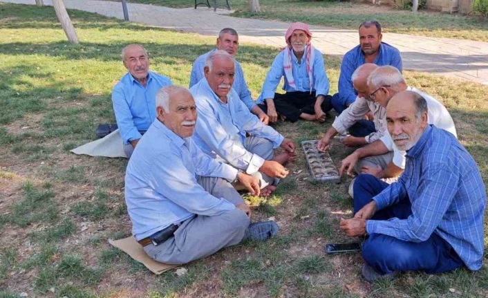 Şanlıurfa’da binlerce yıllık zeka oyunu